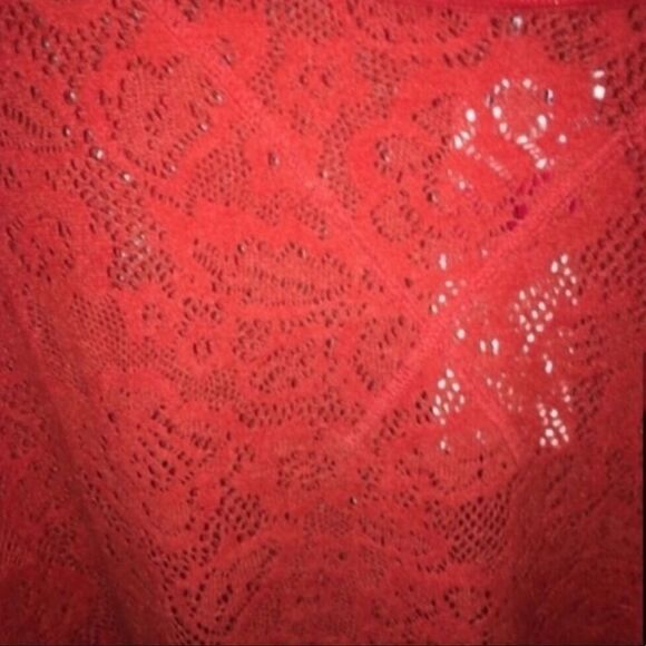 Women’s Free People Fiesta Red Lace Sweater - Picture 3 of 5
